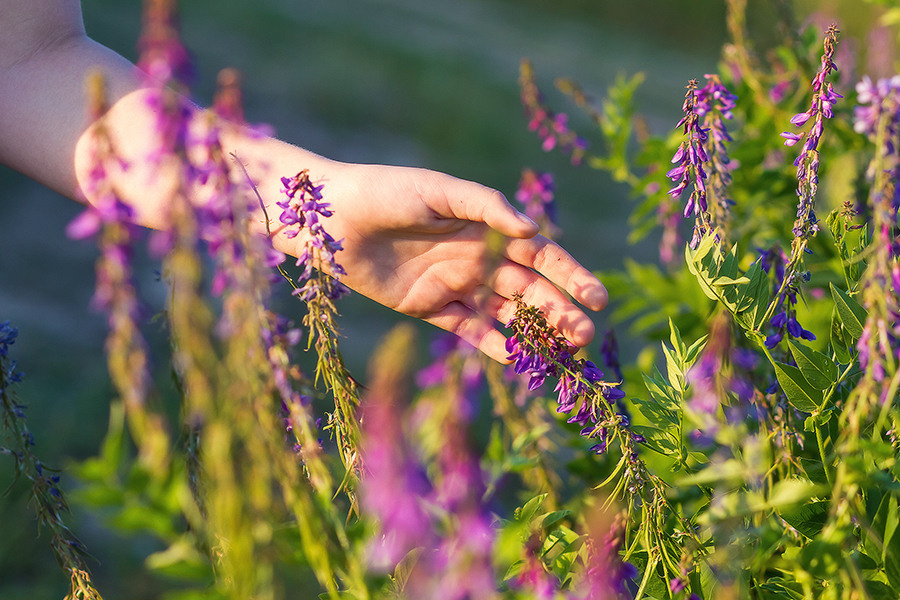 Портретная фотосессия для девочки летом в поле. Семейный и школьный фотограф в Москве Анна Ткач