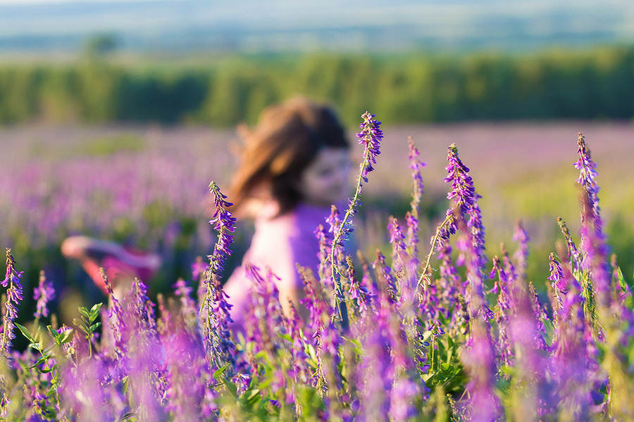 Портретная фотосессия для девочки летом в поле. Семейный и школьный фотограф в Москве Анна Ткач