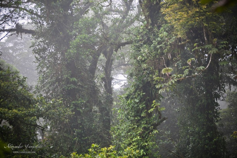 Путешествия. Фотограф Александр Ямпольский