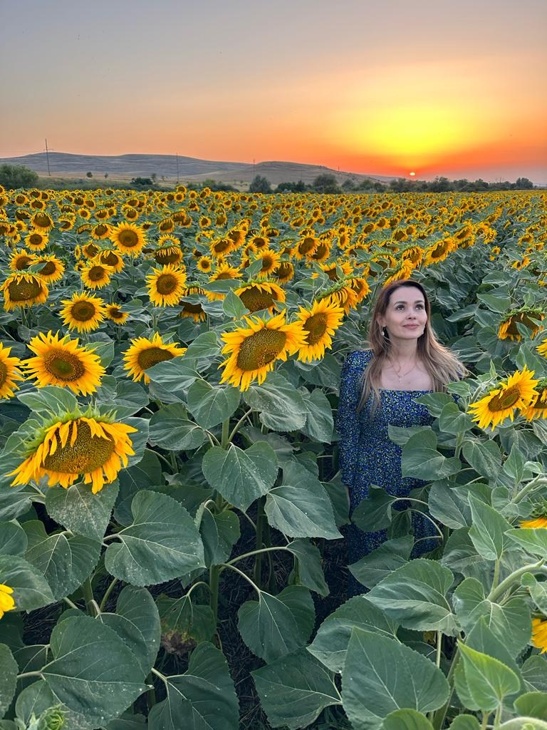 Основная информация