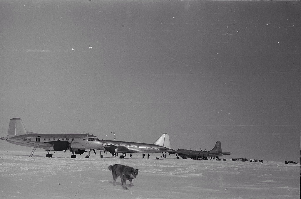 Исторические фотографии. Фотоальбом показывающий увлекательный мир авиации и мир медведей Андрея Иванова