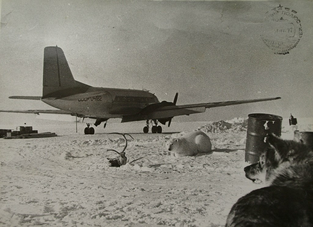 Исторические фотографии. Фотоальбом показывающий увлекательный мир авиации и мир медведей Андрея Иванова