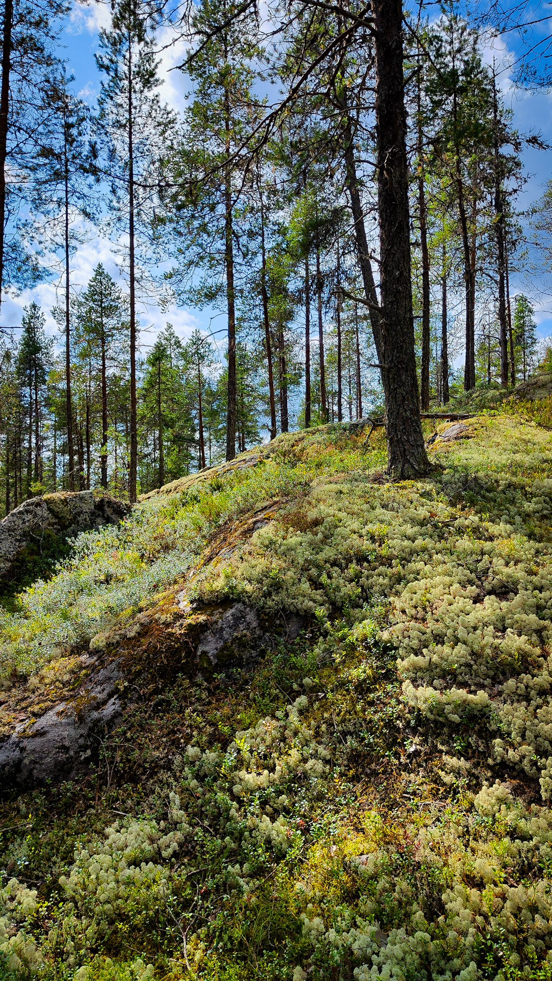 Репортаж с ретрита. Фотограф Ксения Соло