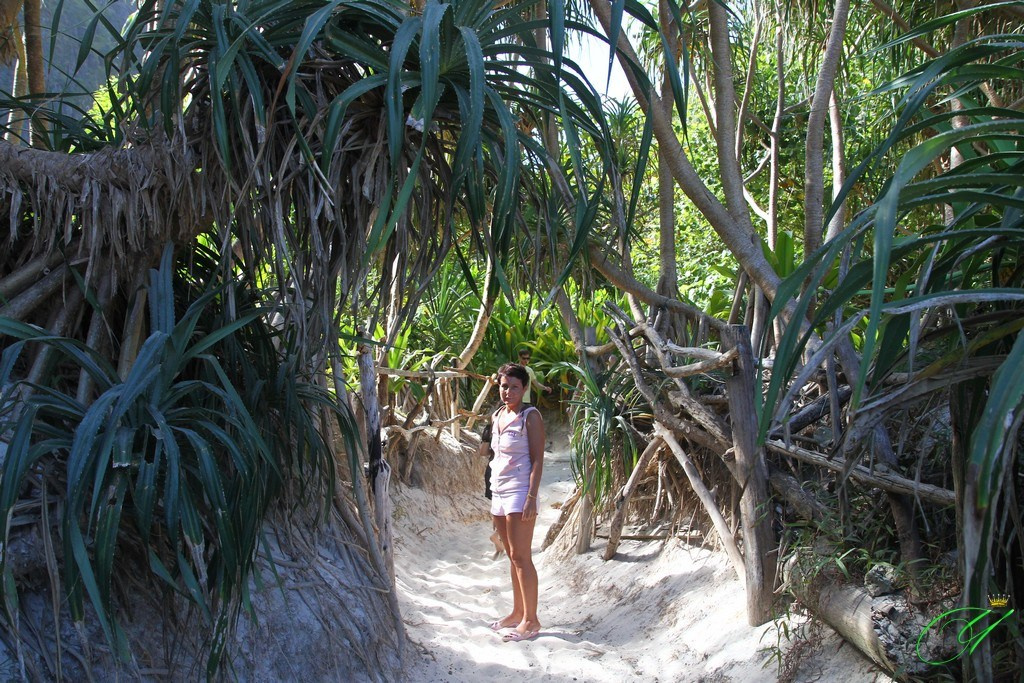 Тайланд. Пхукет 2013. Улица, люди, жизнь…