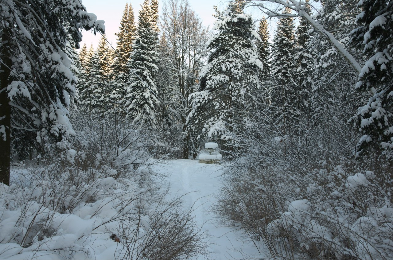 Быково и Гжель | 24.01.2016. Галерея Фантим