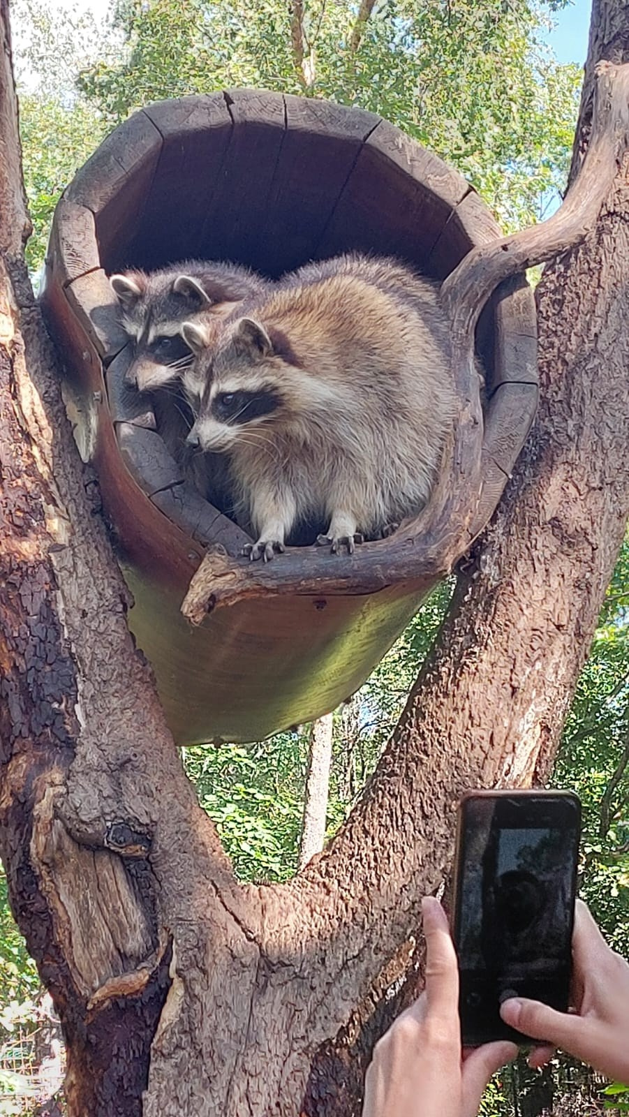 Владивосток 1 | 18-21.09.2025. Галерея Фантим