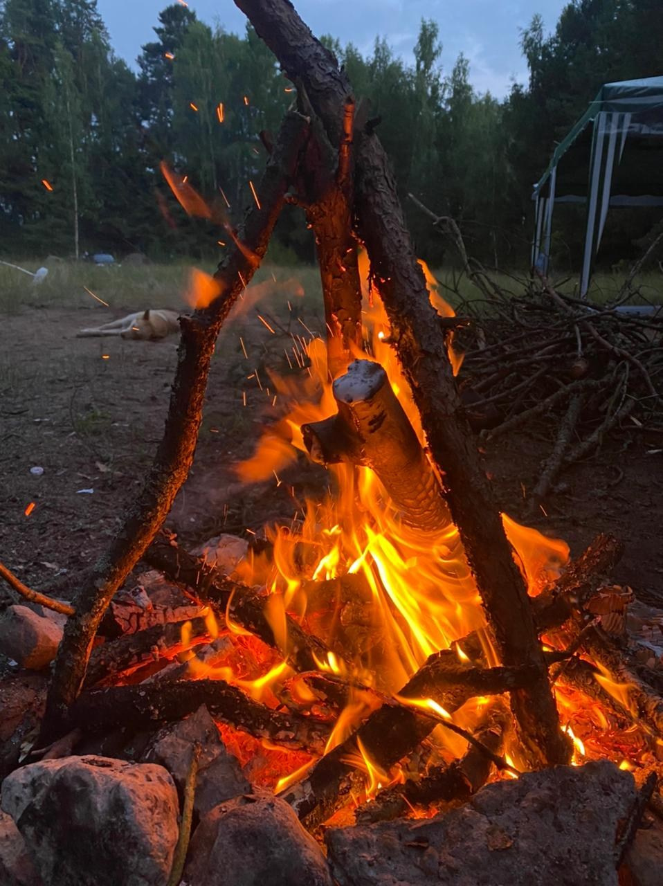 Походная Романтика 34. Давай Гавай!. Галерея Фантим