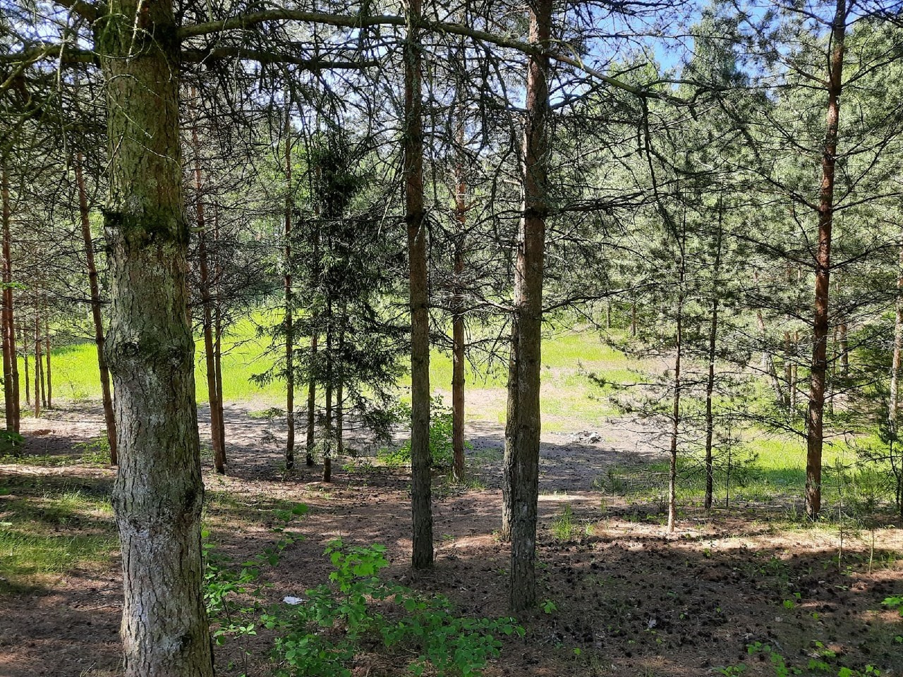 Пятница! | 2021. Галерея Фантим