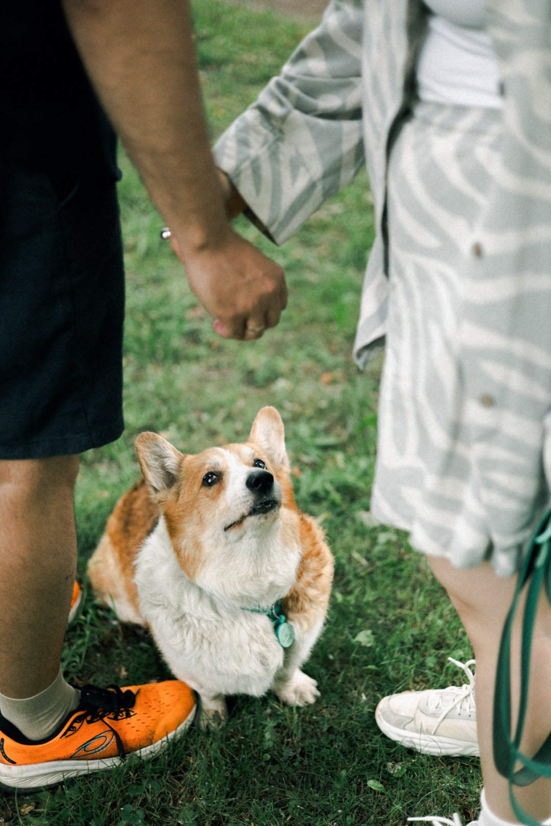 Dogs. Юлия Астра: Фотограф в Санкт-Петербурге. Снимаю женские портреты, уличные съёмки в Петербурге и людей с их собаками