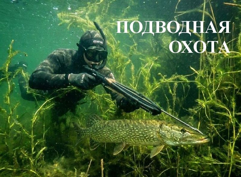 Дайвинг-клуб «Капитан Морган», Беларусь