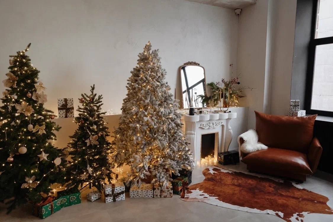 Зал Малый, фотостудия «Family», Красноярск. Классный фотограф Красноярска Васильева Ирина