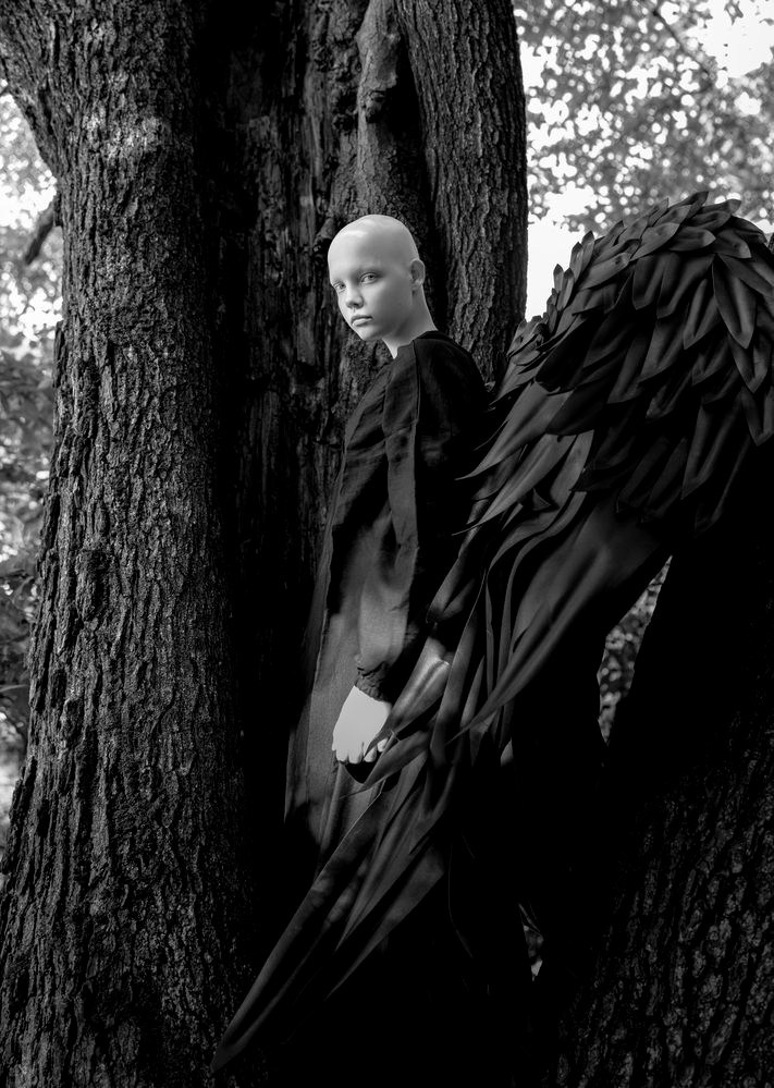 Лысая с крыльями. Фотограф для маркетплейсов Михаил Бове