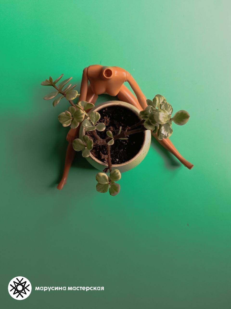 Инна Лисовская