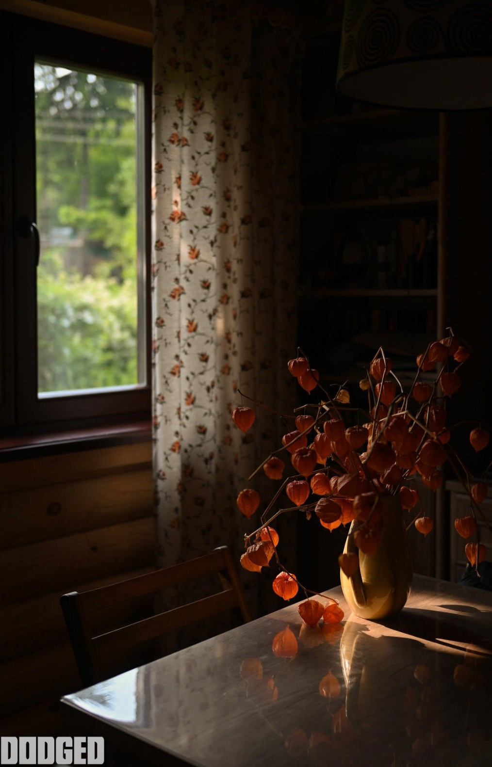 Елена Павлович