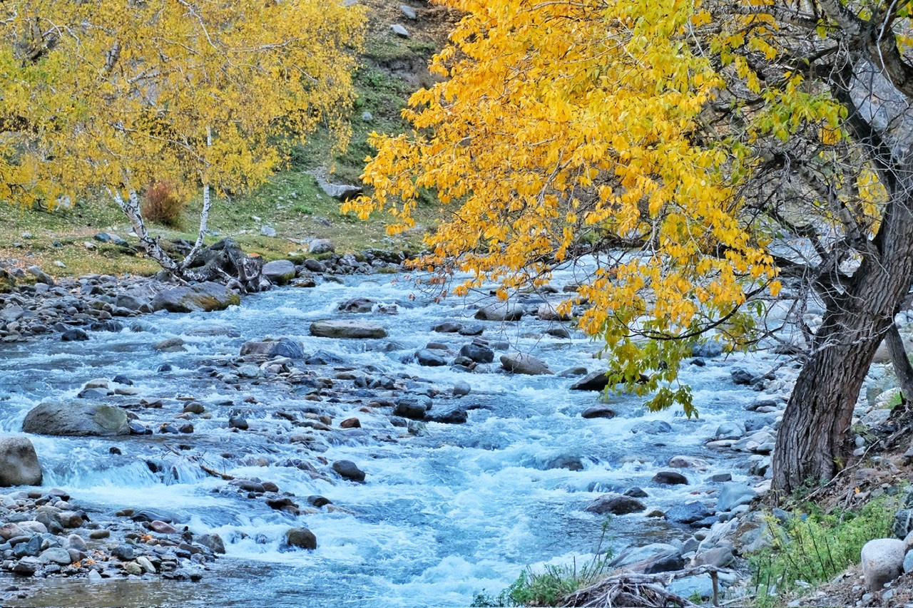 Алтай. Фотограф Евгений Андреев