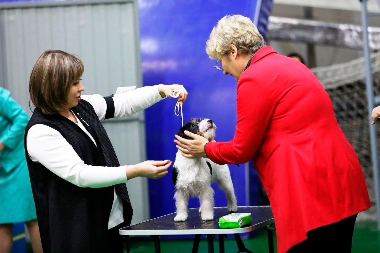 Port Fortis Destiny Of Love