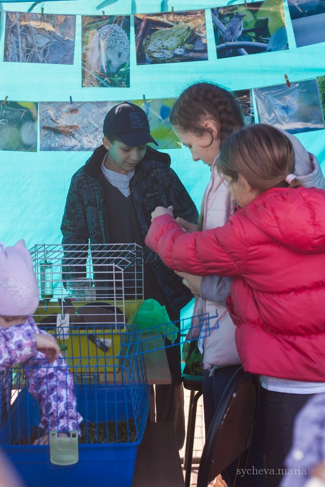 Ярмарка талантов. Детский и семейный фотограф, фотограф мероприятий Нижний Новгород