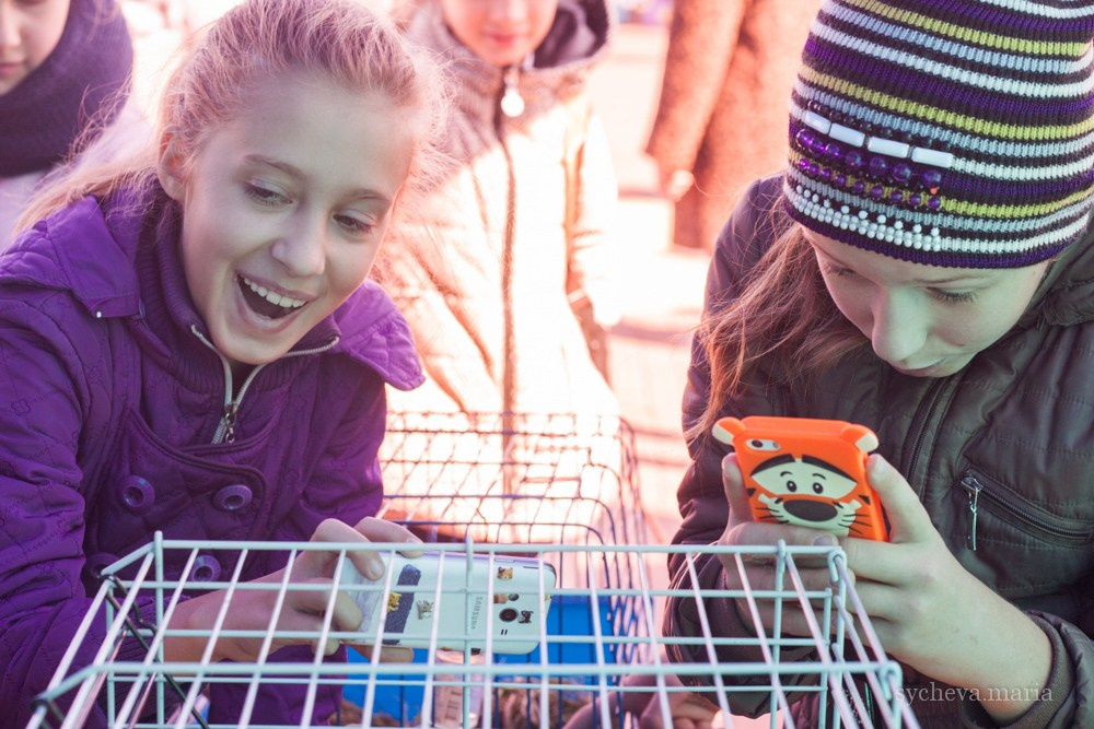 Ярмарка талантов. Детский и семейный фотограф, фотограф мероприятий Нижний Новгород