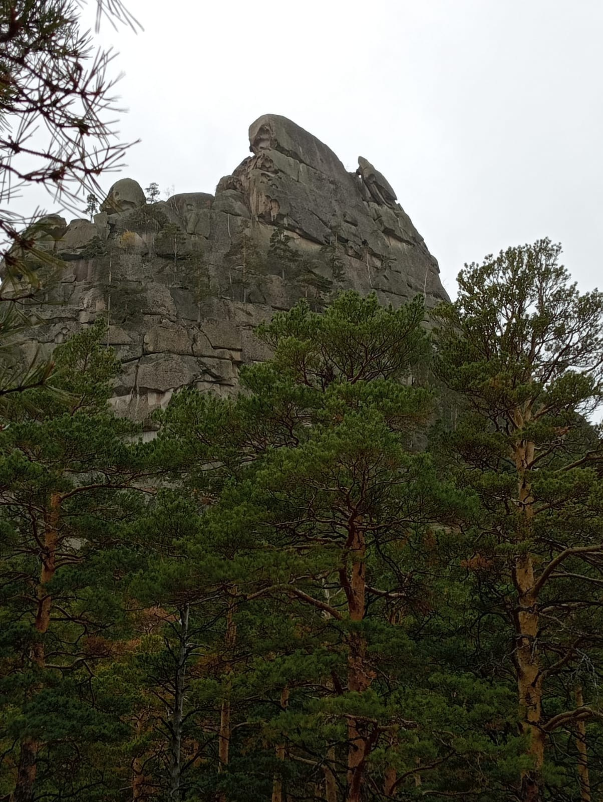 Боровое, поляна Абылай-хана, Казахстан, лес, сосновый бор, слон, камни