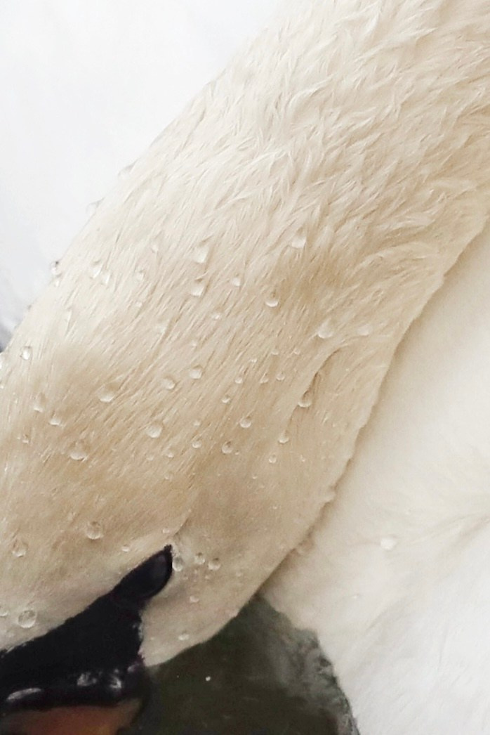 My beautiful days / Moscow 2024. POLINA MÔMOT