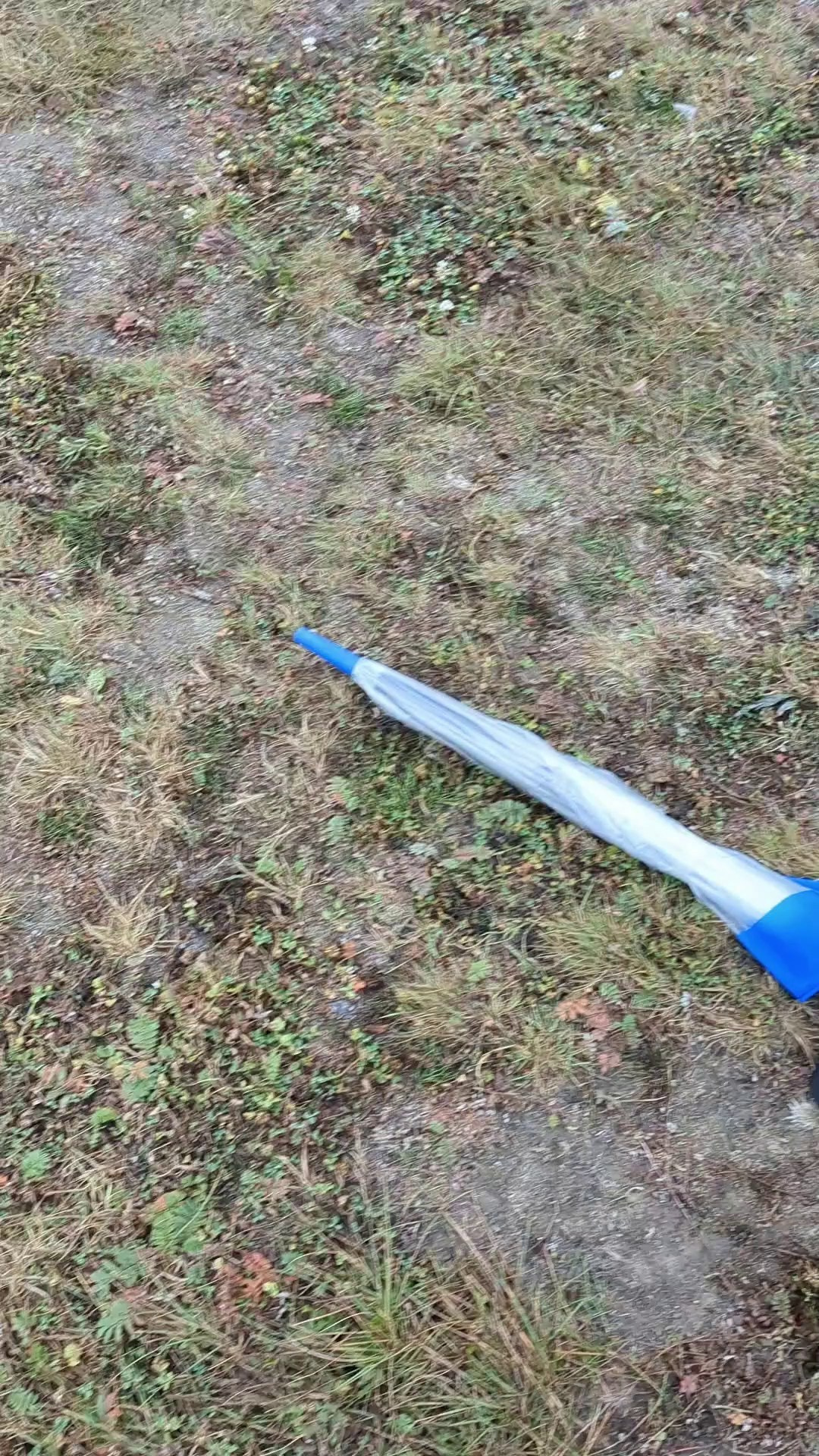 Мужская портретная фотосессия в Гагаринском парке Тюмени | Фотограф Дарья Мустафина. Портретный фотограф Тюмень Дарья Мустафина