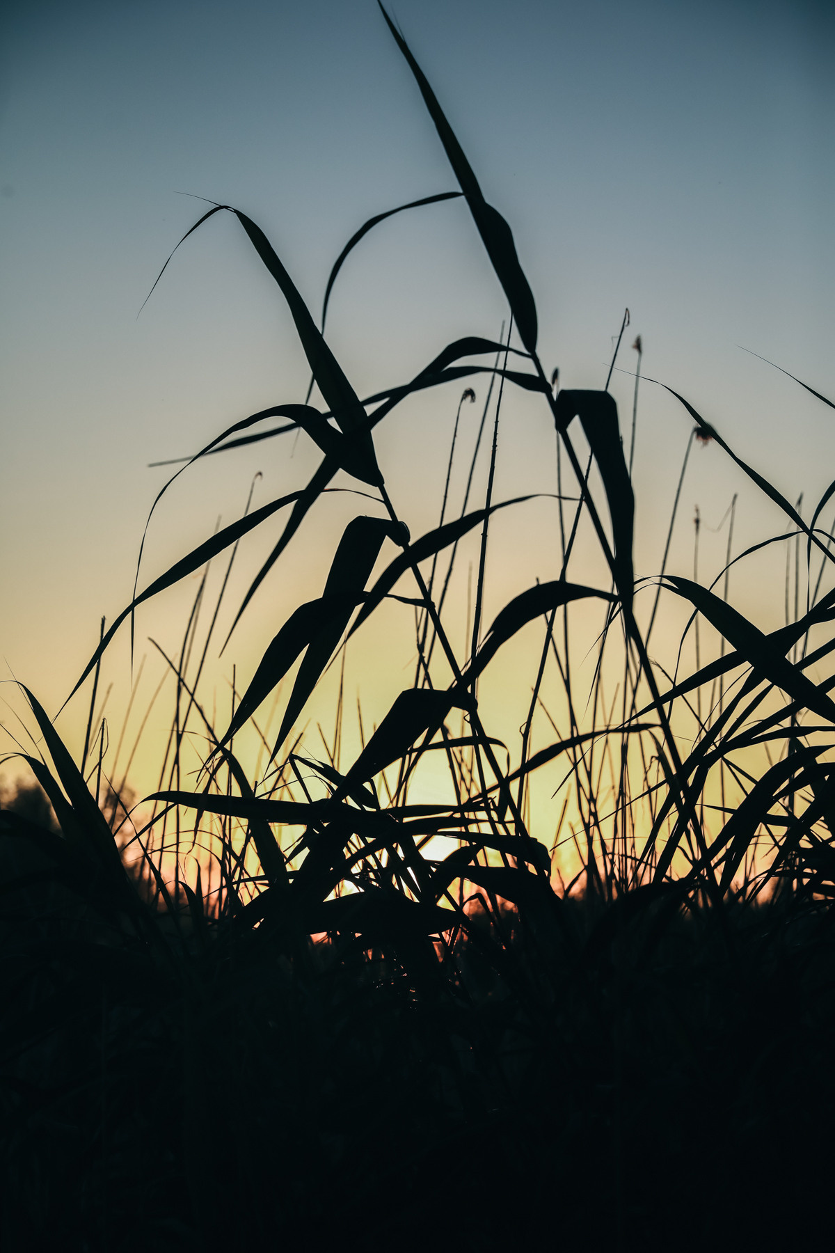 VodnyBodry. Фотограф Максим Маркелов