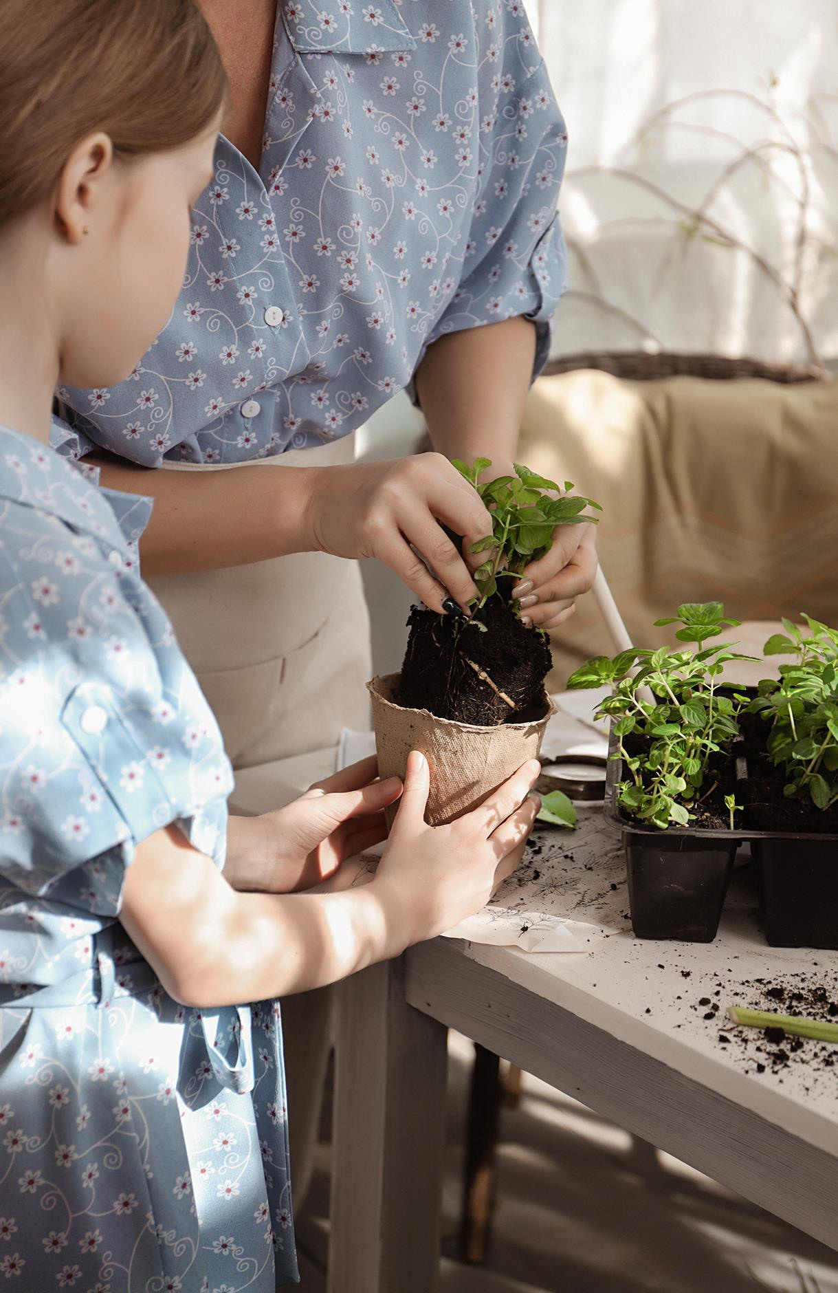Семейные съемки. Алина Малышева, свадебный и семейный фотограф Москва