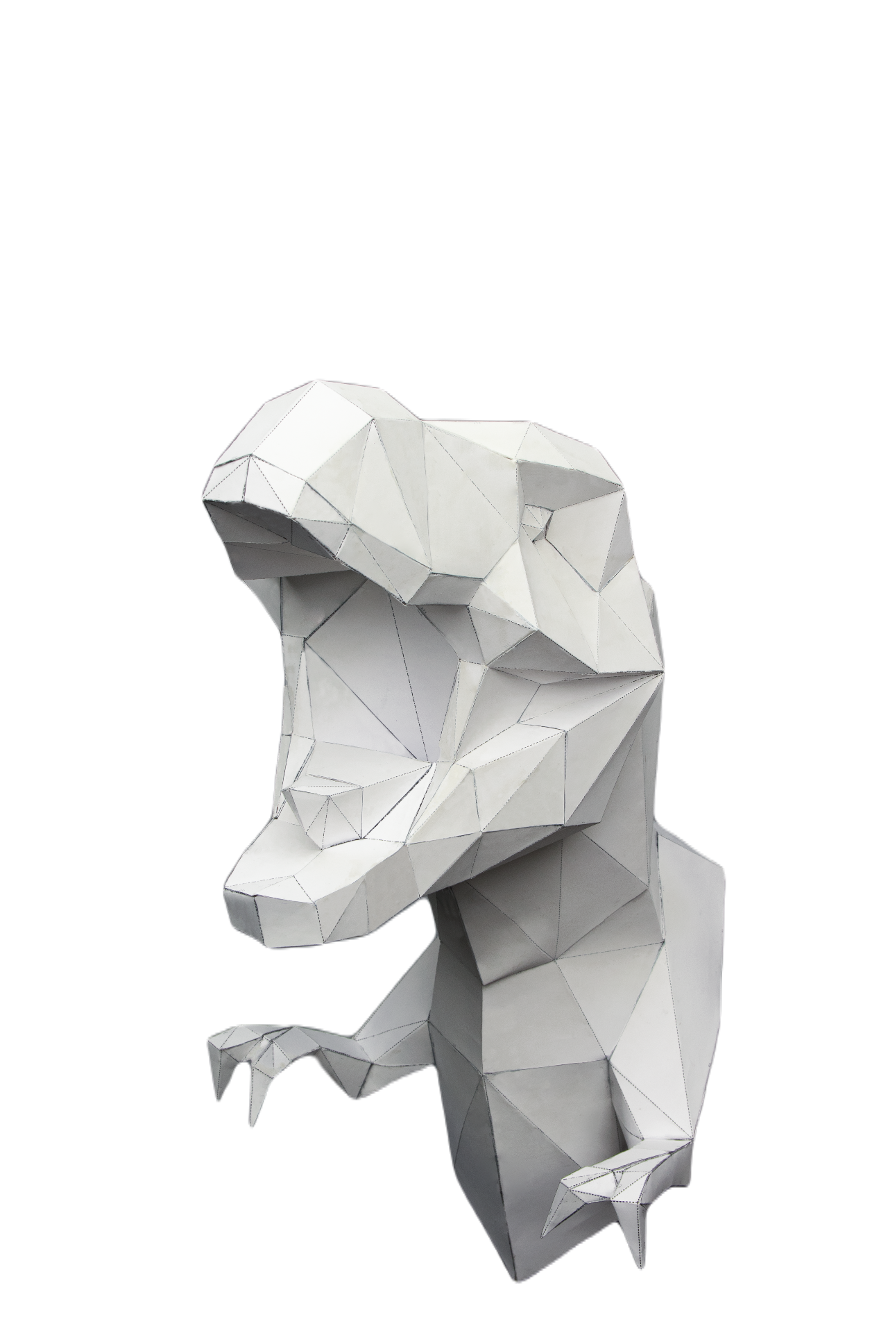 Коммерческие съемки. Фотограф Аделина Raw