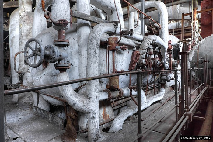 Фотосессия на заброшке в Москве — атмосферные кадры среди руин и облупившихся стен