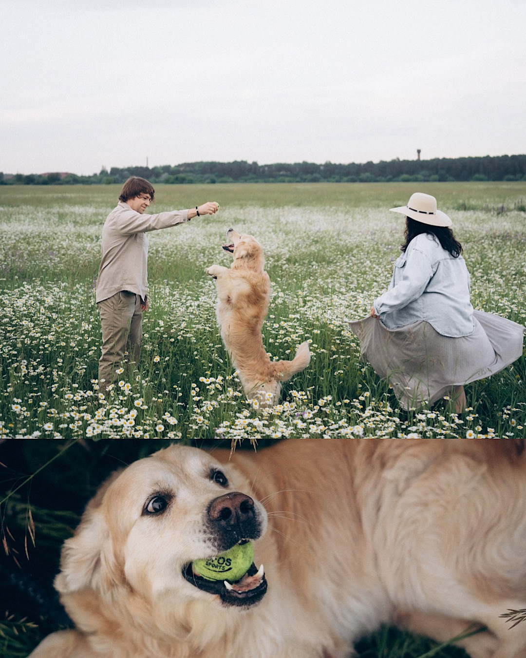 Кристина, Александр, Каролина, Владлен и Космос. Фотограф анималист в Москве и Санкт-Петербурге Свиридова Анна
