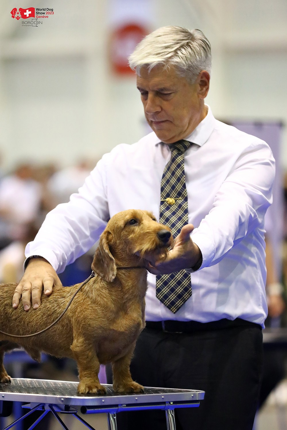 24-27.08.2023 WDS Geneva. Фотограф Дмитрий Бородин