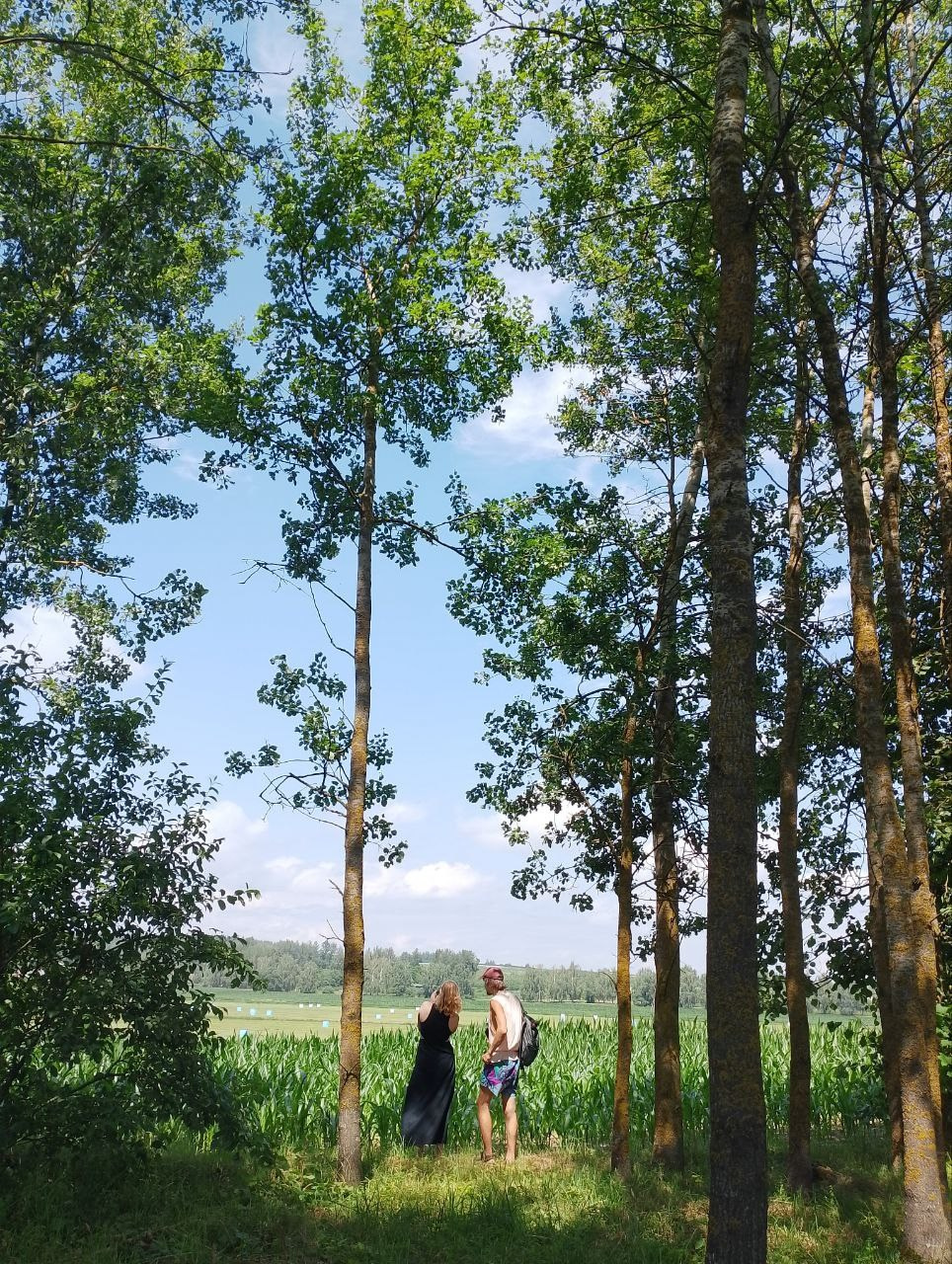 Travel. Главная