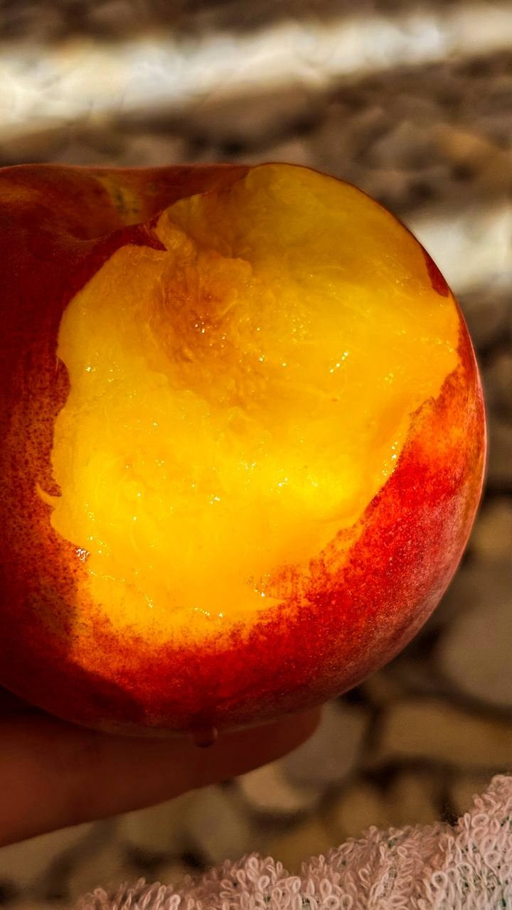 Вкусный юг, село Кабардинка (Геленджик). Персональный фотограф Москва