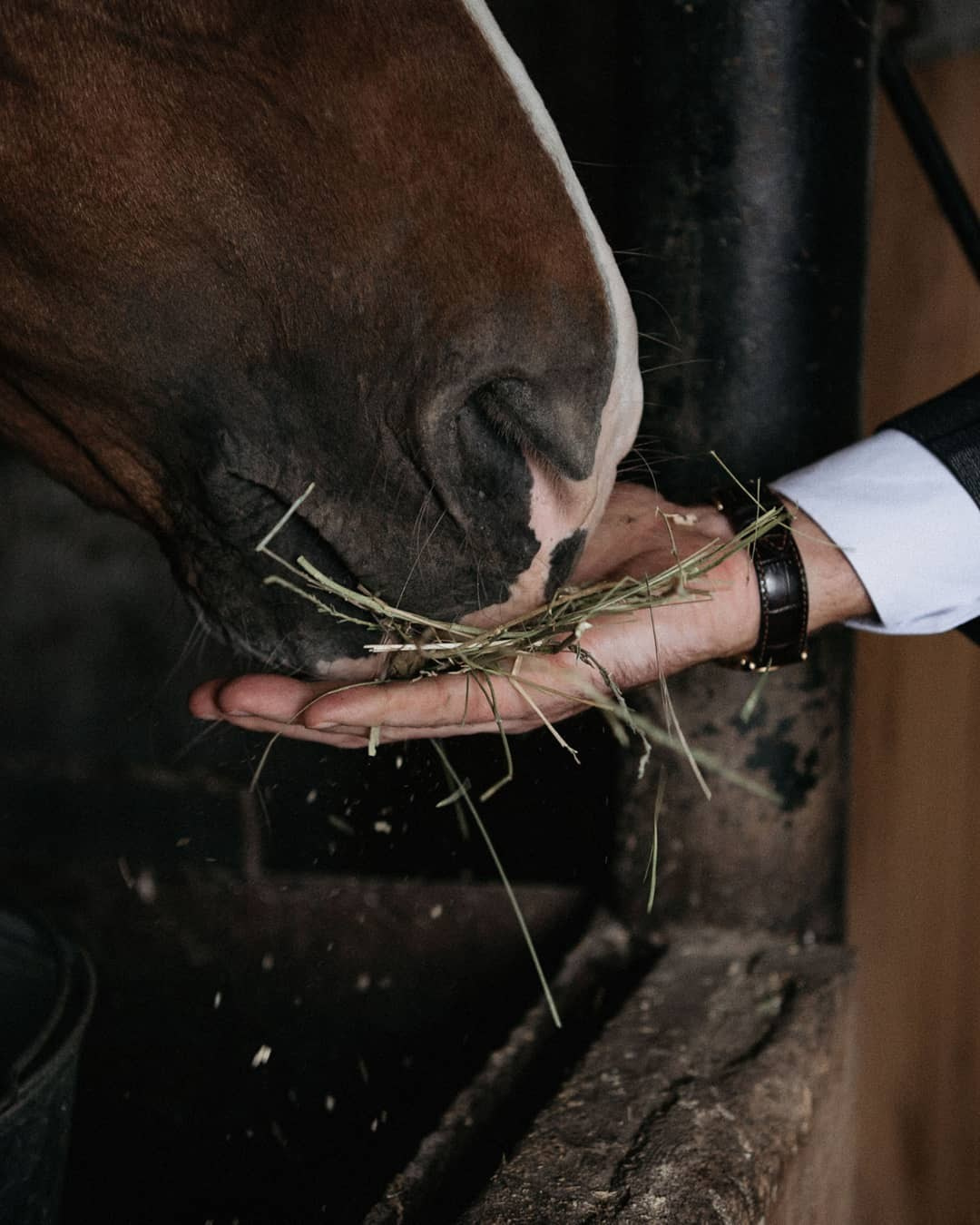 Острые козырьки. Анна Парсанова.ФОТОГРАФ