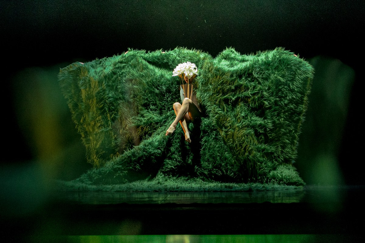 Новофест Фестиваль современного танца. Главная