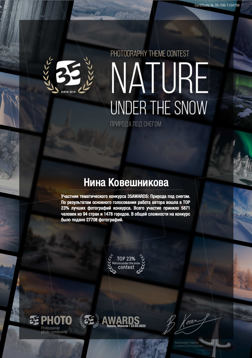 Сертификаты и грамоты. Нина Ковешникова