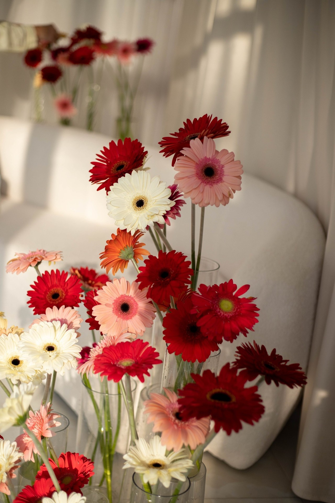 Отзывы. Фотограф — Анастасия Хохлачева