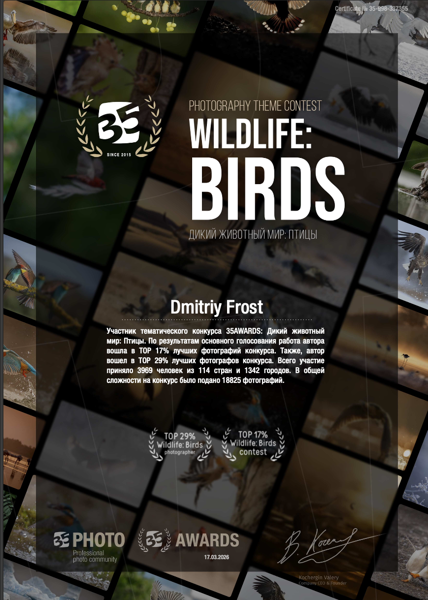 Достижения и награды. Репортажная съемка в Москве и области. Анималистика