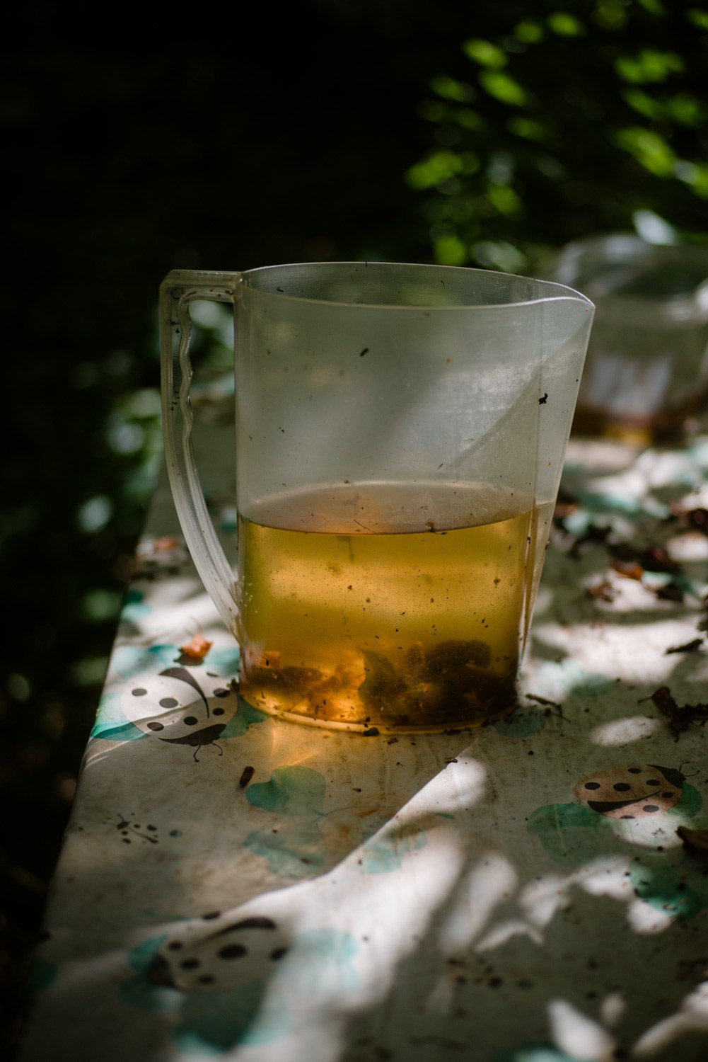 Summer Recurrences. Пётр Антонов