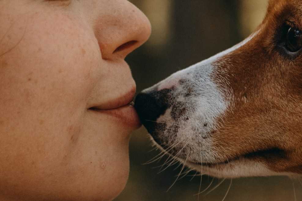 Алиса и Лео. Фотограф — Анималист | Санкт-Петербург
