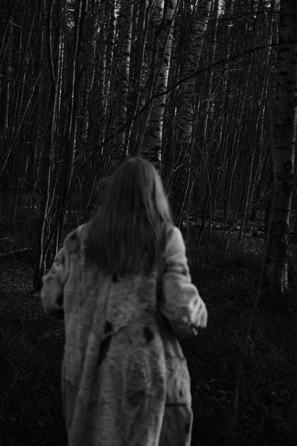 Wandering. ✨misha khazov • photography • performance