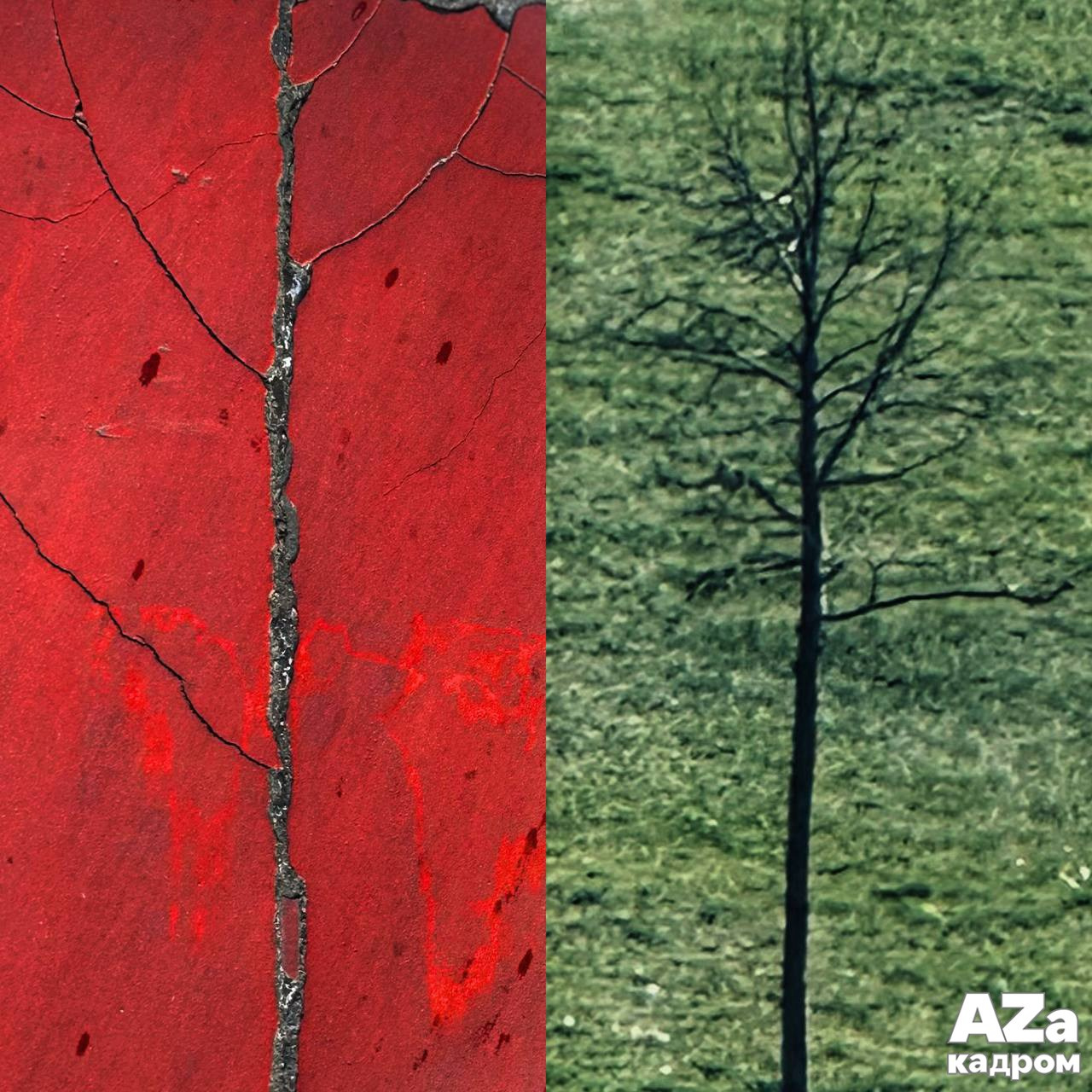 AZакадром «В поисках красного». Женский семейный фотограф Тула Москва Захарова Анна