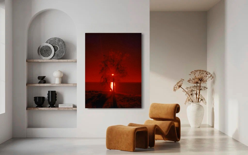 DISTURBING BEAUTY. Evgeniia Mikheeva — International visual artist