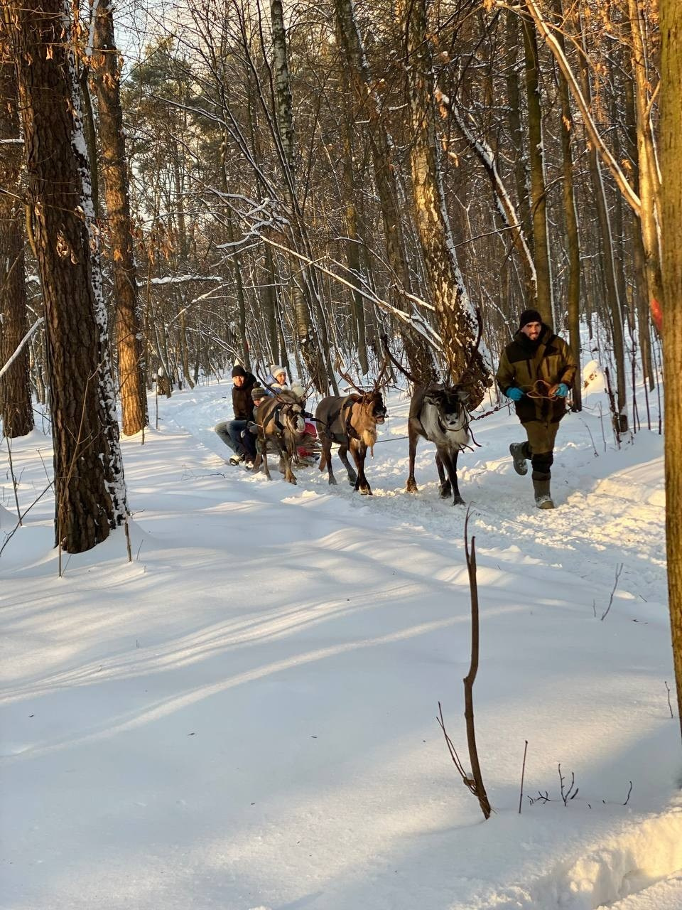В гости к северным оленям | 02.12.2023. Галерея Фантим