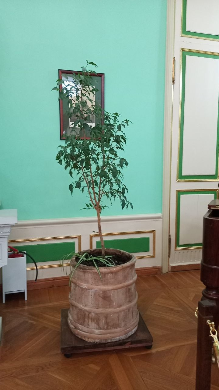 Вязьма. Экскурсионная поездка | 28.09.2024. Галерея Фантим