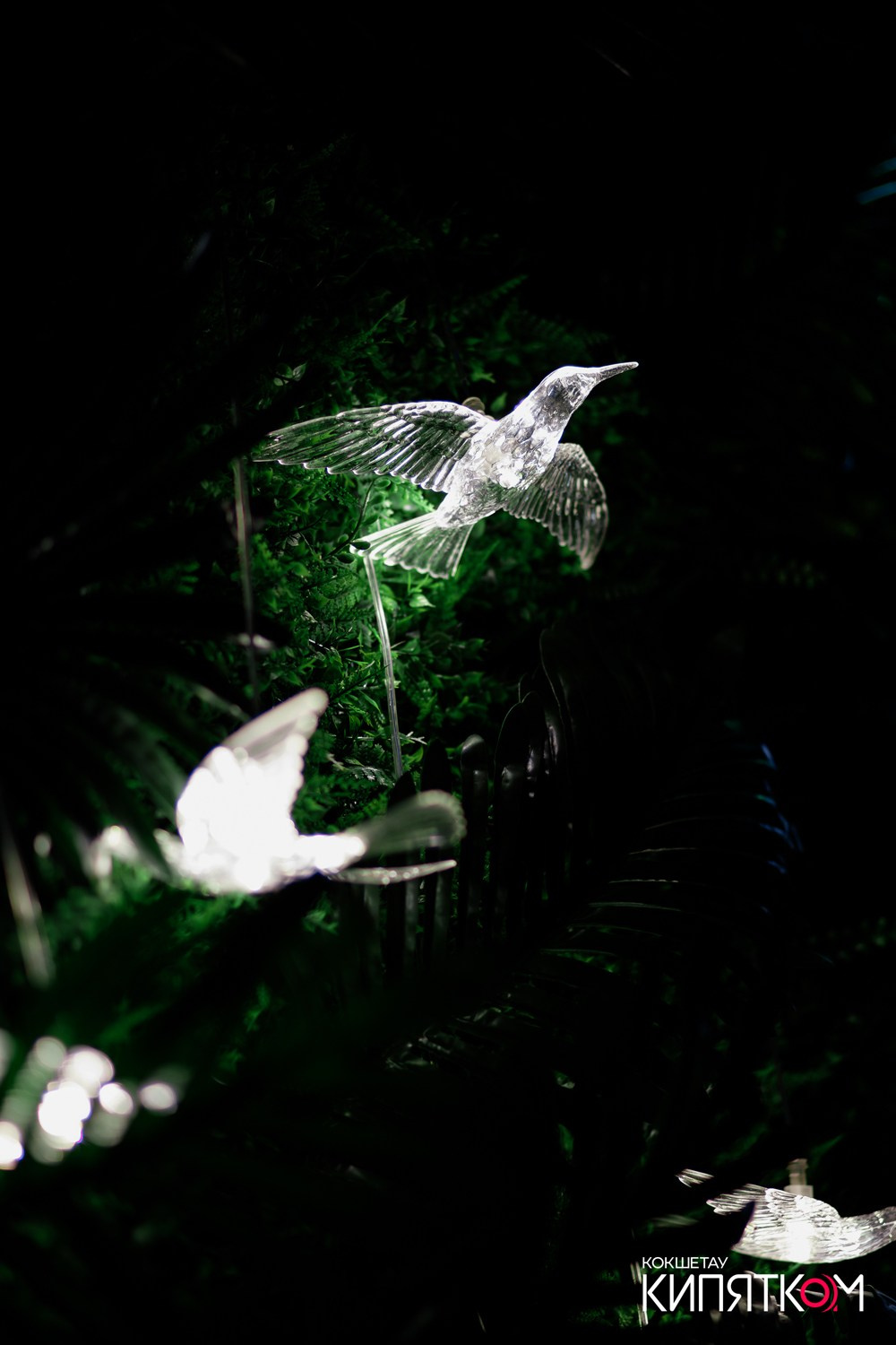 COLIBRI RESTOBAR. КИПЯТКОМ КОКШЕТАУ