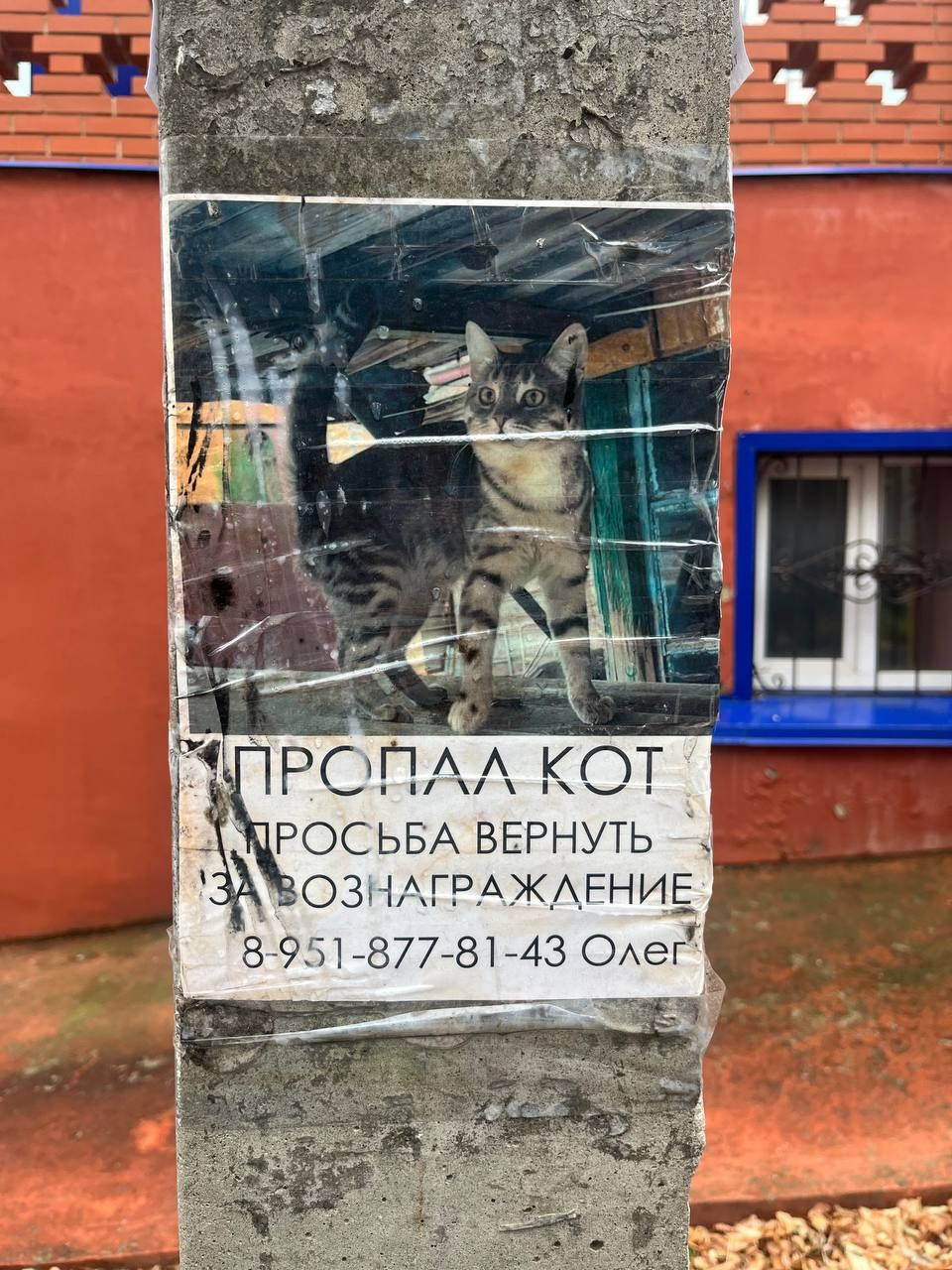 Улица Таранченко. «ФотоСинтез»