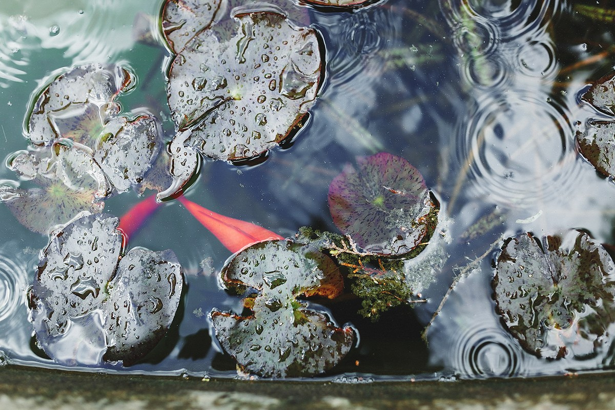 Praga. Свадебные и портретный фотограф — Кирилл Зорин