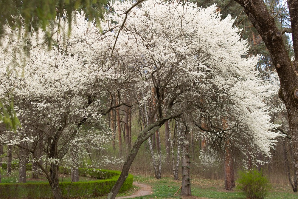 Кавказ. Детский и семейный фотограф в Екатеринбурге Екатерина Гильманова
