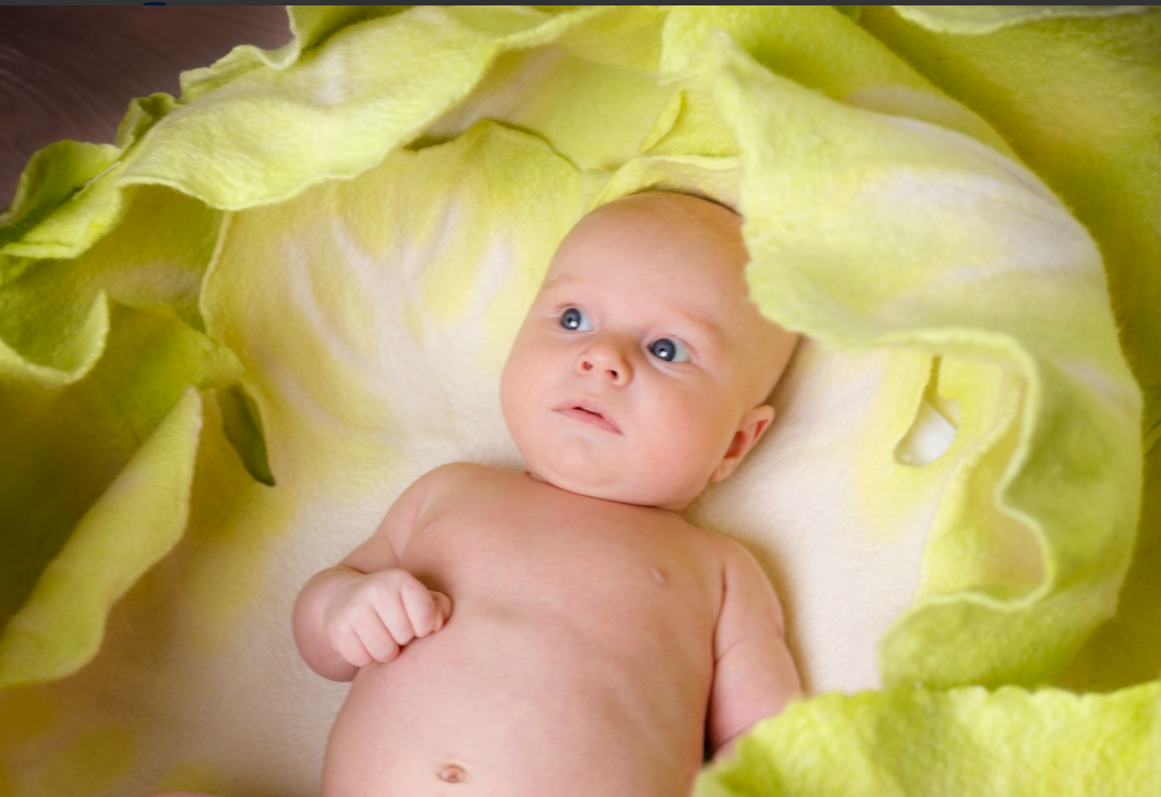 Галерея. GoldenLioness | Фотосессия новорожденных детей (newborn) Москва и область